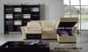 Sectional Modern Sofa