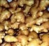 organic ginger