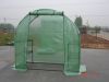 Green House, greenhouse, big green house, walk-in green house, plant grown