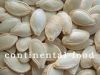 Shine Skin Pumpkinseed...