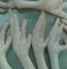 chicken feet processed