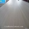 AA grade paulownia wood panels for furniture