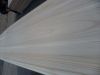 kiteboard surfboard sn...