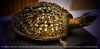 Baroque Sculptures LIMITED EDITION - BRONZE -2009 Release - TORTOISE