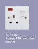 one gang 13A switched ...
