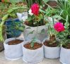 3gallon fabric root co...