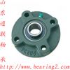 Pillow Block Bearings