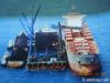 Steam Coal