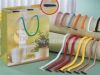removable paper bag st...