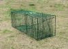 Collapsible Raccoon Sk...