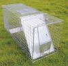 squirrels animal cage ...