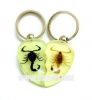 Real insect amber keyc...