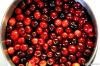 Cranberry extract