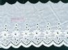 cotton lace(M101566A)