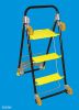 multi purpose ladder