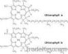 Chlorophyll