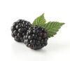 Raspberry extract