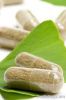 Ginkgo biloba extract
