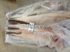 Conger Eel Fish & ...