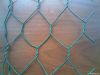 Hexagonal wire mesh