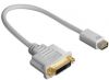 Mini DVI to DVI Converter