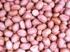 peanut kernels(round t...