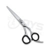 Hair Scissors