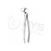 Dental Instruments
