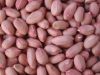 peanut kernels