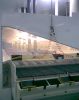 In-Line Wafer Etching&...