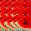 Watermelon Extract Powder