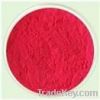 Radish Red