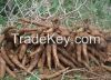 High Quality Tapioca S...