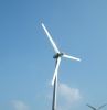 Small Wind Turbines