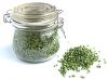 FD German Chives