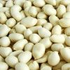 round type peanut