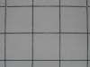 Welded Wire Mesh