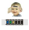 Swine test-forehead th...