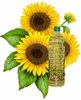 sunflower oil,cooking ...
