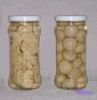Canned Mushrooms