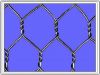 Gabion Box