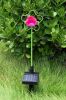 Solar Garden Light, Solar Led Light, Solar Powered Outdoor Lights