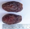 Large Premium Medjool Dates