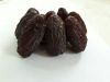 Large Premium Medjool Dates