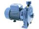 Home Water Pump