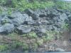 Manganese