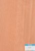 decorative  paper