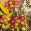 Camu Camu 100% Organic...