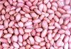 peanut kernels
