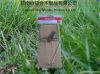 wooden mice/mouse trap